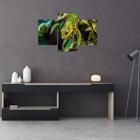 Tablou cu cameleon (90x60 cm)