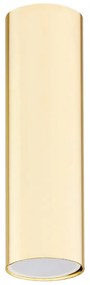 Spot aplicat tavan TYBER PLUS auriu 18cm
