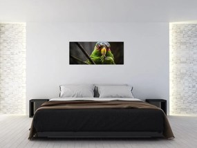 Tablou cu papagal (120x50 cm)