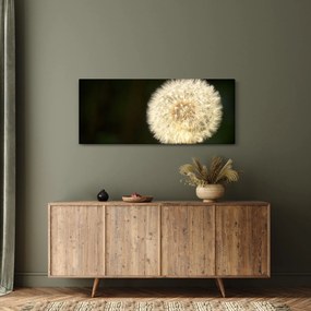 Tablou cu păpădie gri (120x50 cm)