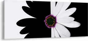 Tablou - Floare, alb- negru (120x50 cm)