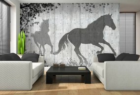 Fototapet - Umbrele de cai pe perete gri (254x184 cm), în 8 de alte dimensiuni noi