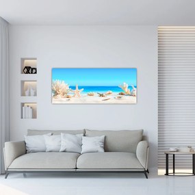 Tablou - Natura morta cu scoici (120x50 cm)