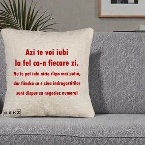 Cadou pentru Iubita - Perna Personalizata Azi Te Voi Iubi, 40x40 cm, Bej Canapea, Husa Detasabila, Perna Inclusa, BEKZ®