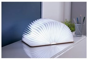 Decorațiune luminoasă în culoare naturală cu USB Booklight – Gingko