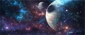 Tablou cu cosmos (120x50 cm)