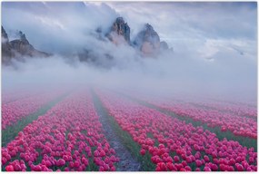 Tablou - Peisaj cu câmpuri de lalele (90x60 cm)