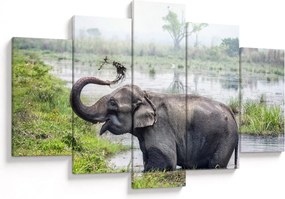 Tablou - Elefant de scăldat (150x105 cm)
