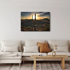 Tablou - cactușii la soare (90x60 cm)