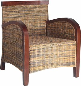 vidaXL Fotoliu din ratan împletit manual