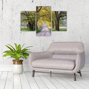 Tablou - Smoky Mountains, Gatlinburg, SUA (90x60 cm)