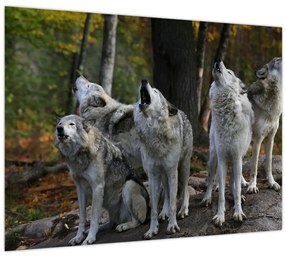 Tablou - Lupii de pe stâncă (70x50 cm)