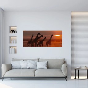 Tablou - Girafe în savana africană (120x50 cm)
