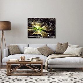 Tablou - Detaliu florii (70x50 cm)