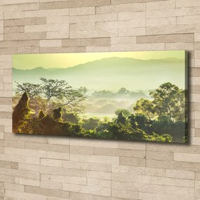 Tablou pe pânză canvas Junglă