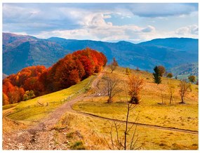 Fototapet - Autumn landscape in the Carpathian mountains