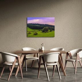 Tablou cu lunca (70x50 cm)