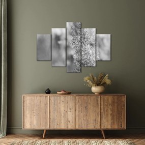 Tablou - Iarbă de pampas Boho (150x105 cm)
