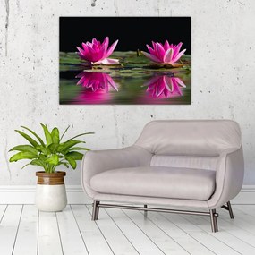 Tablou - Nuferi pe apă (90x60 cm)