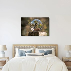 Tablou - Reflecție intr-o sferă transparentă (90x60 cm)