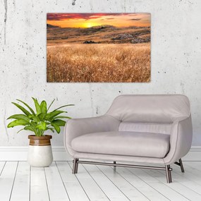 Tablou cu câmp (90x60 cm)