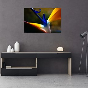 Tablou - Floare exotică (90x60 cm)