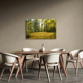 Tablou - pădurea toamna (90x60 cm)
