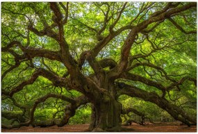 Tablou - Copac verde (90x60 cm)