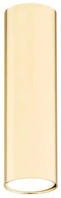 Spot aplicat tavan TYBER PLUS auriu 18cm