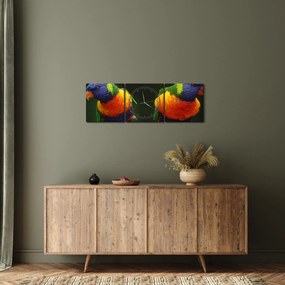 Tablou cu papagali (cu ceas) (90x30 cm)
