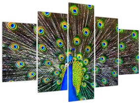 Tablou - Păun (150x105 cm)