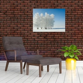 Tablou pe sticlă - Peisaj înzăpezit (70x50 cm)