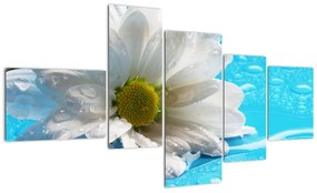 Tablou - margaretă floare (150x85cm)