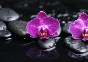 Fototapet. Orhideea pe Piatra. Art.01243