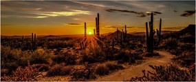 Tablou - Sfărșit de zi în deșertul Arizona (120x50 cm)