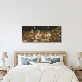 Tablou - Pajiște cu iarbă de cozonac N⁰2 (120x50 cm)