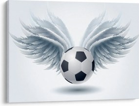 Tablou - Balon cu aripi (70x50 cm)