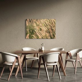 Tablou - Cereale (90x60 cm)