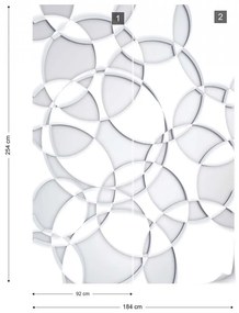 Fototapet - 3D Cercuri gri si alb