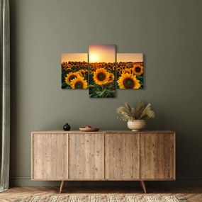 Tablou - Floarea soarelui (90x60 cm)