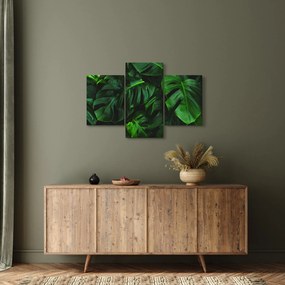 Tablou cu frunze Monstery (90x60 cm)
