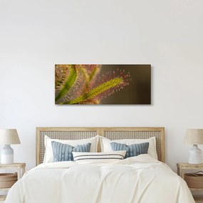 Tablou cu plantă (120x50 cm)