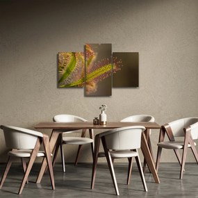 Tablou cu plantă (90x60 cm)