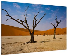 Tablou - Valea Morții (90x60 cm)