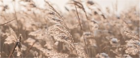 Tablou - Adiere de luncă (120x50 cm)