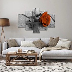 Tablou - Trandafir portocaliu (150x105 cm)