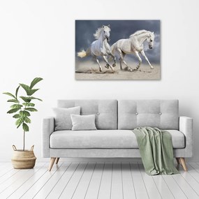 Pictură pe pânză White beach horse