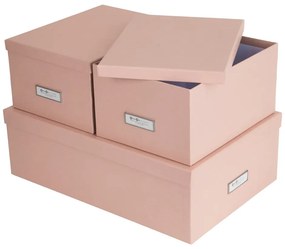 Cutii de depozitare 3 buc. din carton cu capac Inge – Bigso Box of Sweden