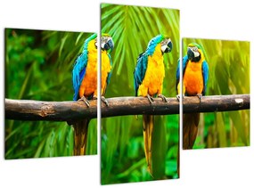 Tablou modern - papagali (90x60cm)