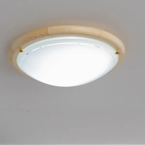 Rabalux 5421 - Plafoniera UFO 2xE27/60W/230V